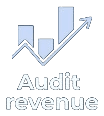 Audit Revenue